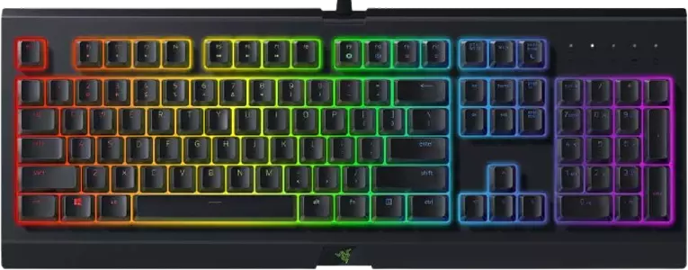 Best Razer Cynosa Chroma For Battlefield 2042